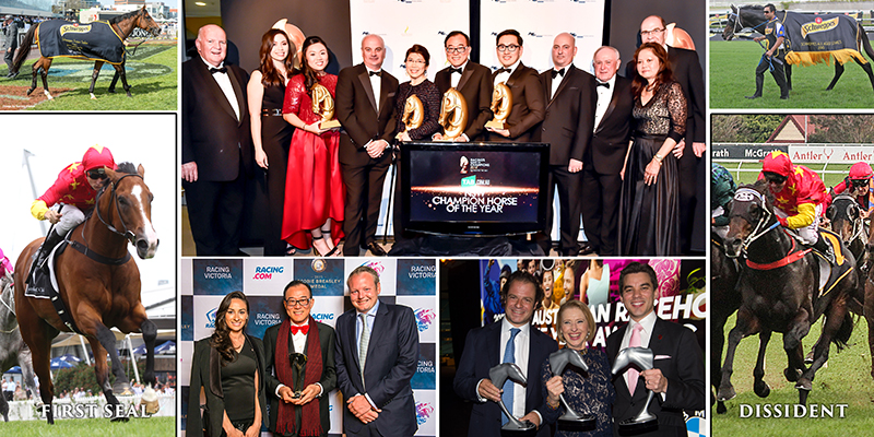 CHC wins Australian, NSW and Victorian Horse of the Year awards