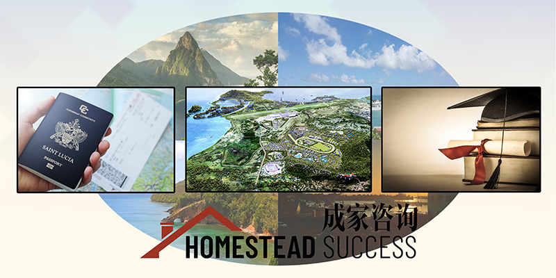 Establishment of Homestead Success Incorporated (HSI)
