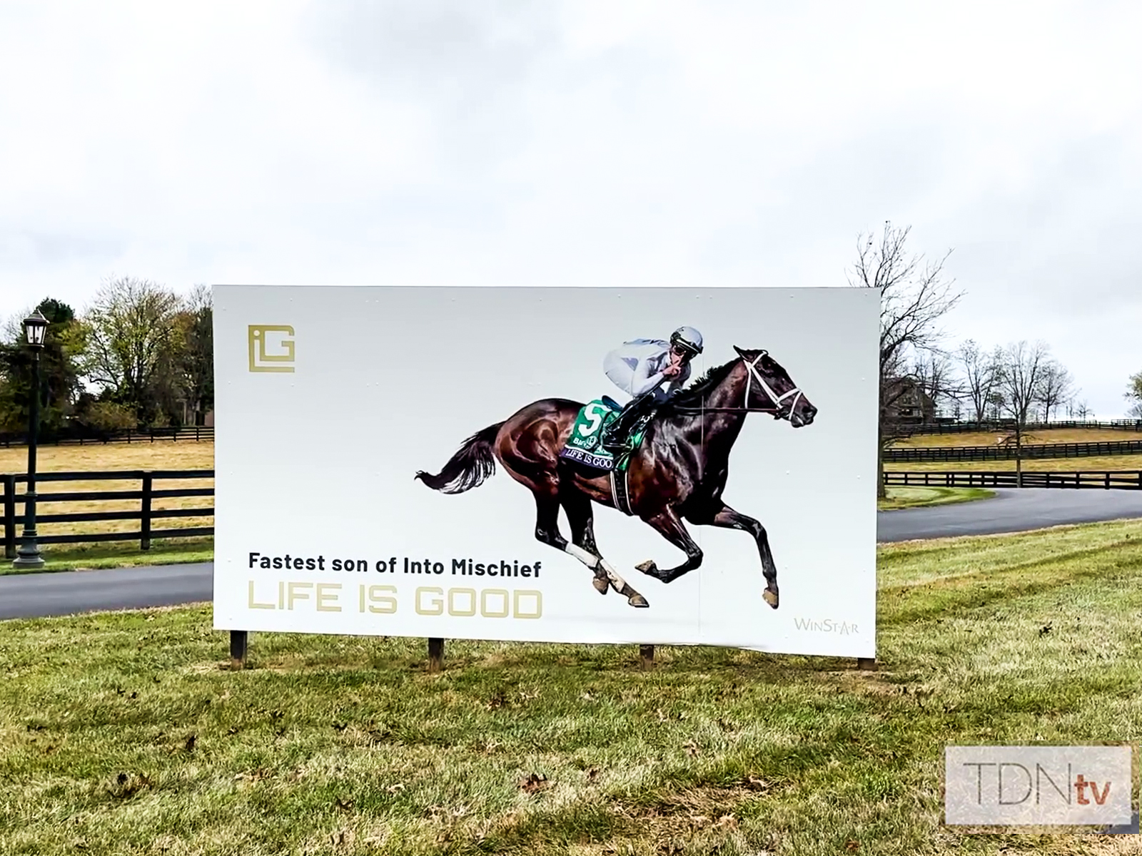 Life Is Good officially retired to Winstar Farm