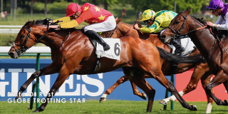 China Horse Club's State of Rest a Globe Trotting Star